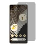 Google Pixel 4 Privacy Screen Protector